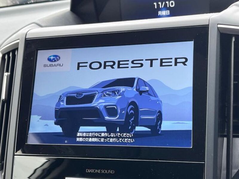 FORESTER