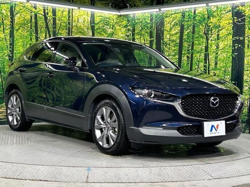 CX-30