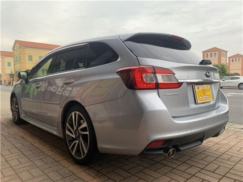 LEVORG