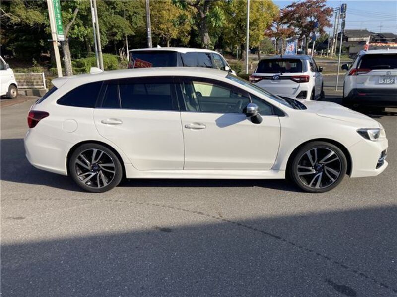 LEVORG