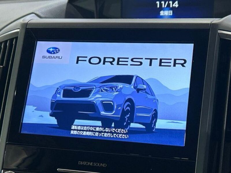 FORESTER