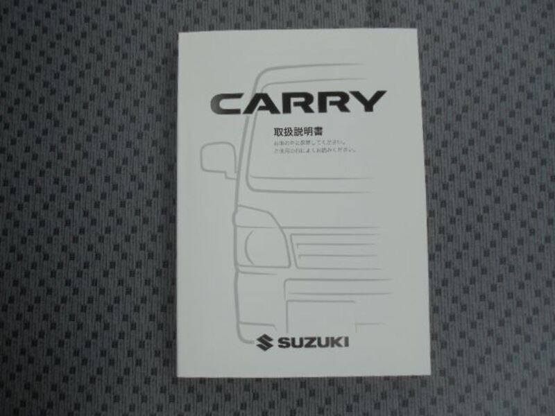 CARRY TRUCK