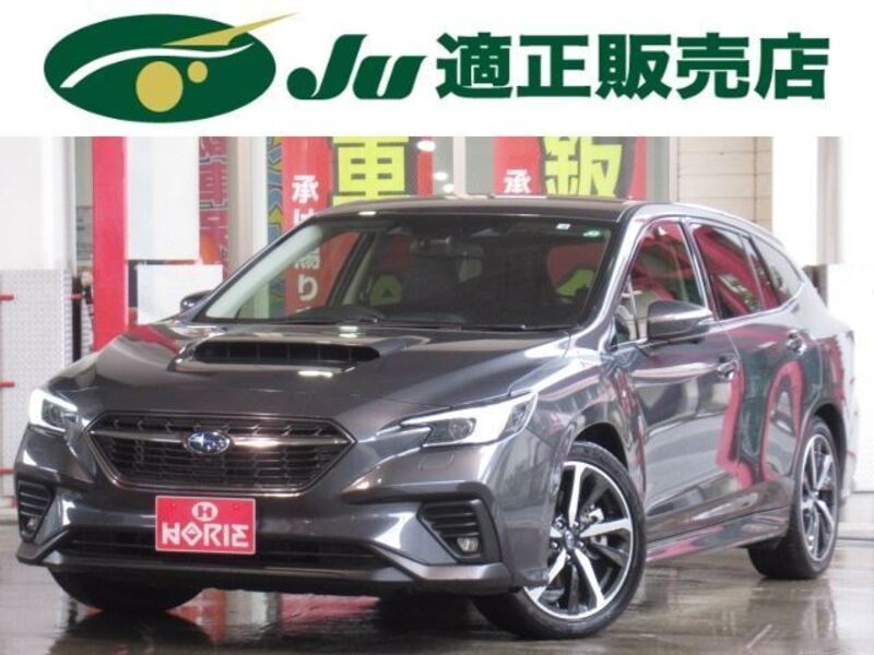 LEVORG-0