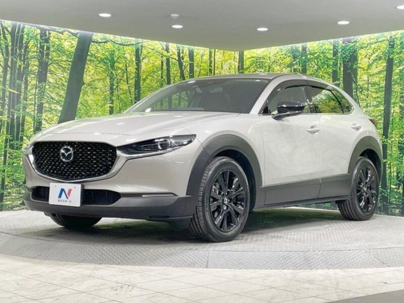CX-30