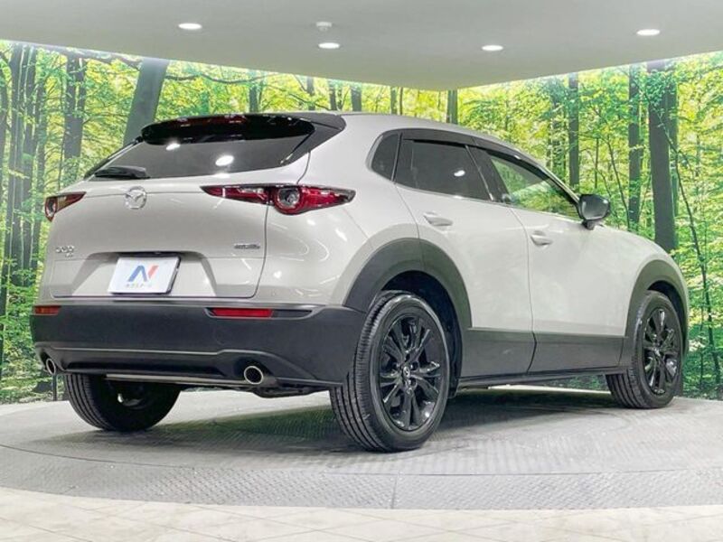 CX-30