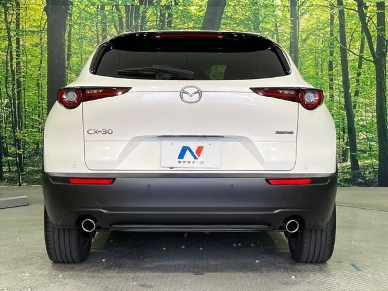 CX-30