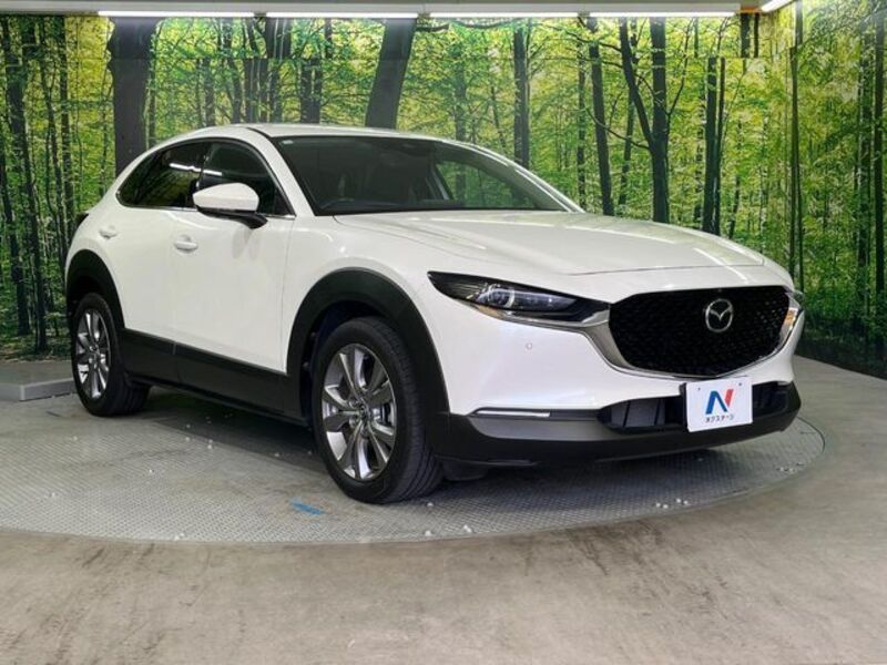 CX-30