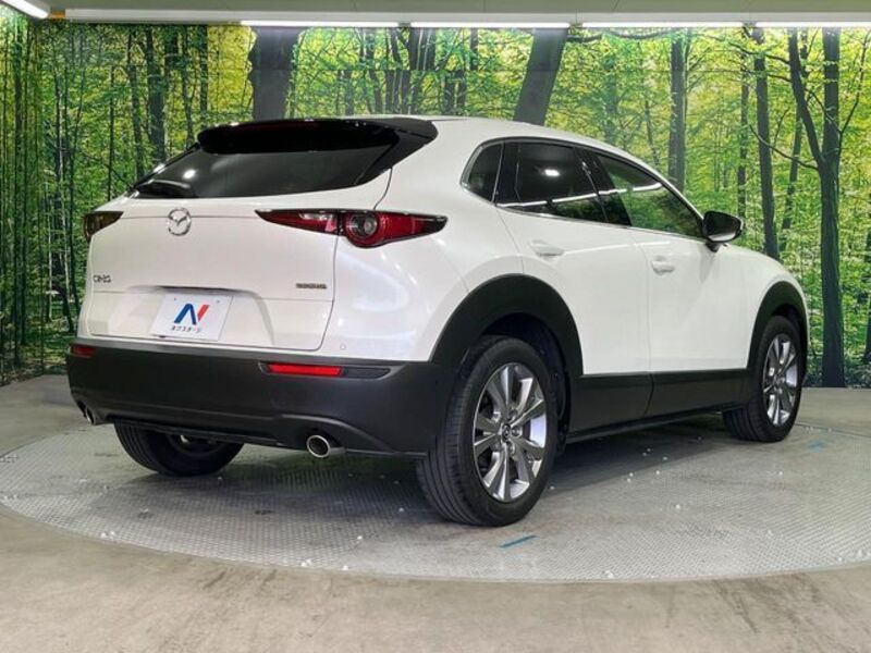 CX-30
