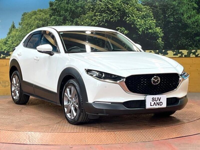 CX-30