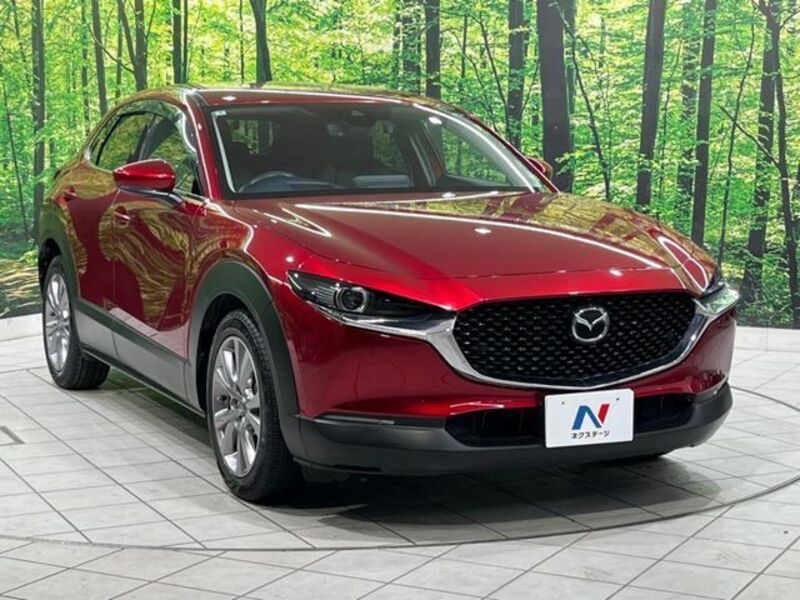 CX-30