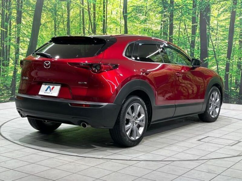 CX-30