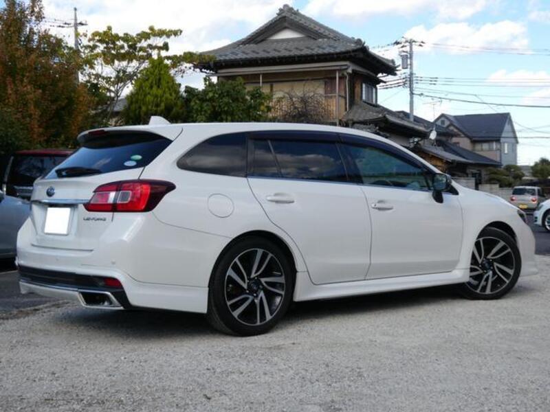 LEVORG