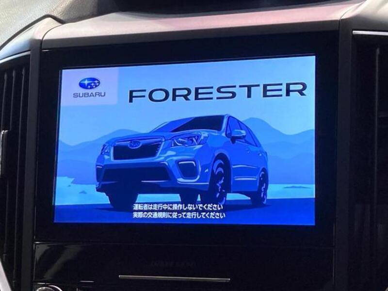 FORESTER