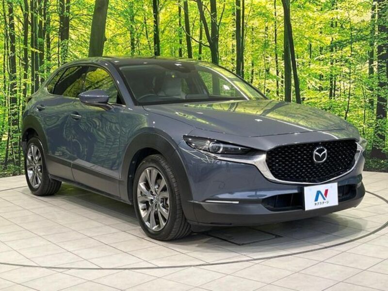 CX-30
