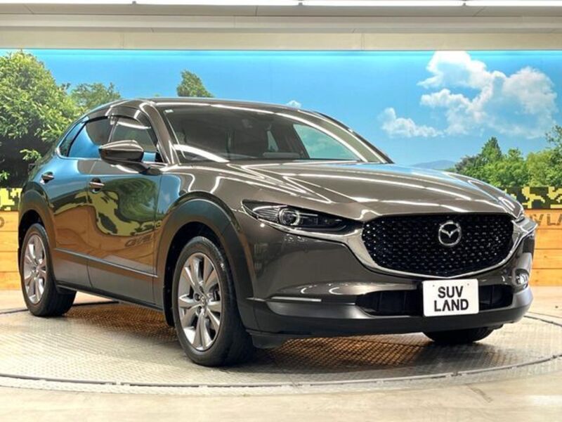 CX-30