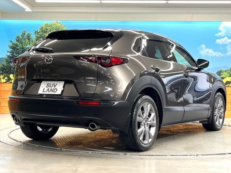 CX-30