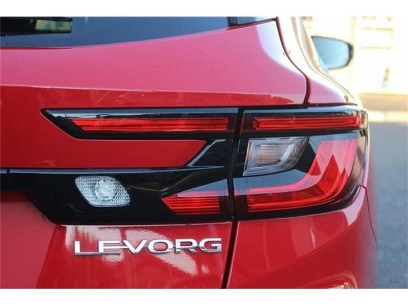 LEVORG