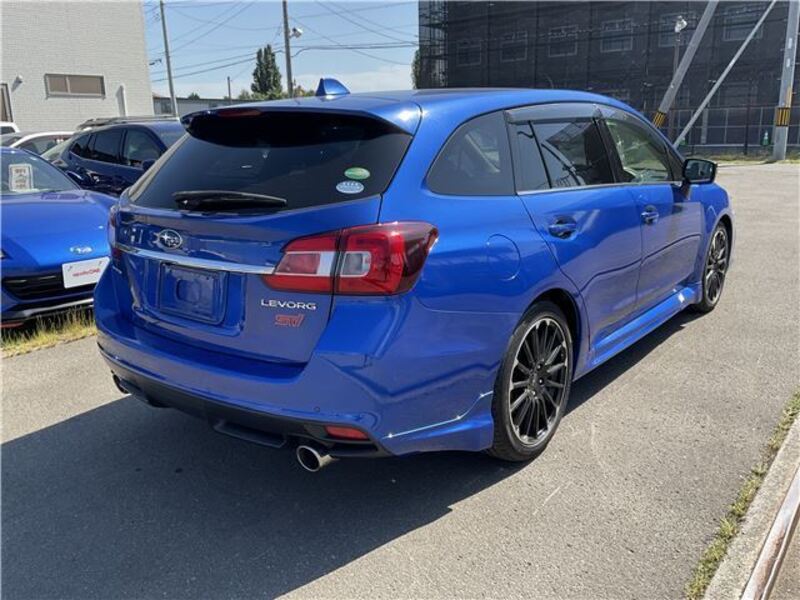 LEVORG