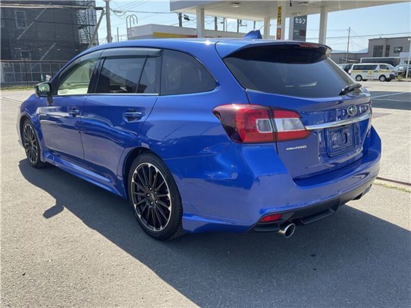 LEVORG