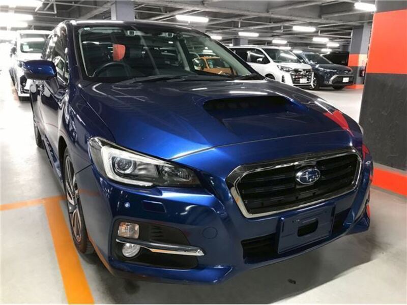 LEVORG-0