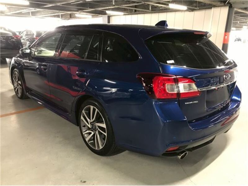 LEVORG