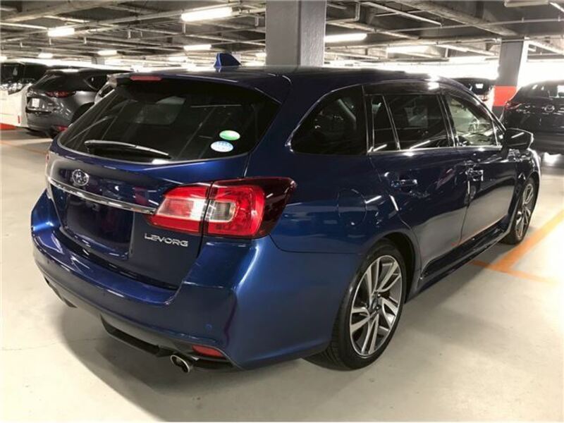 LEVORG