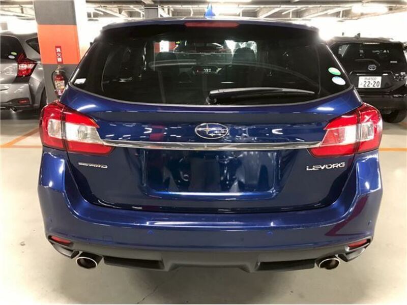 LEVORG