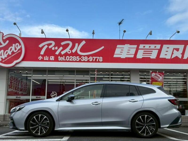 LEVORG