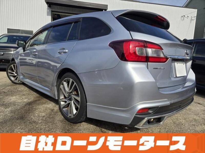 LEVORG