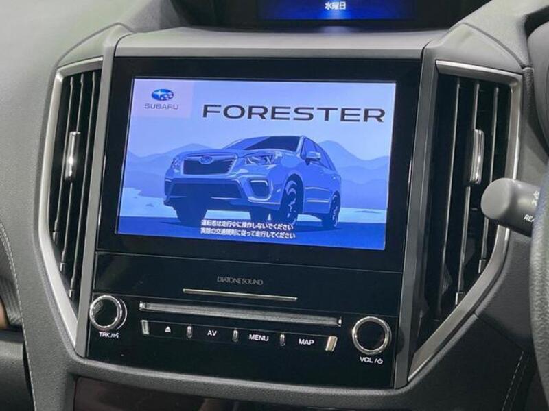 FORESTER