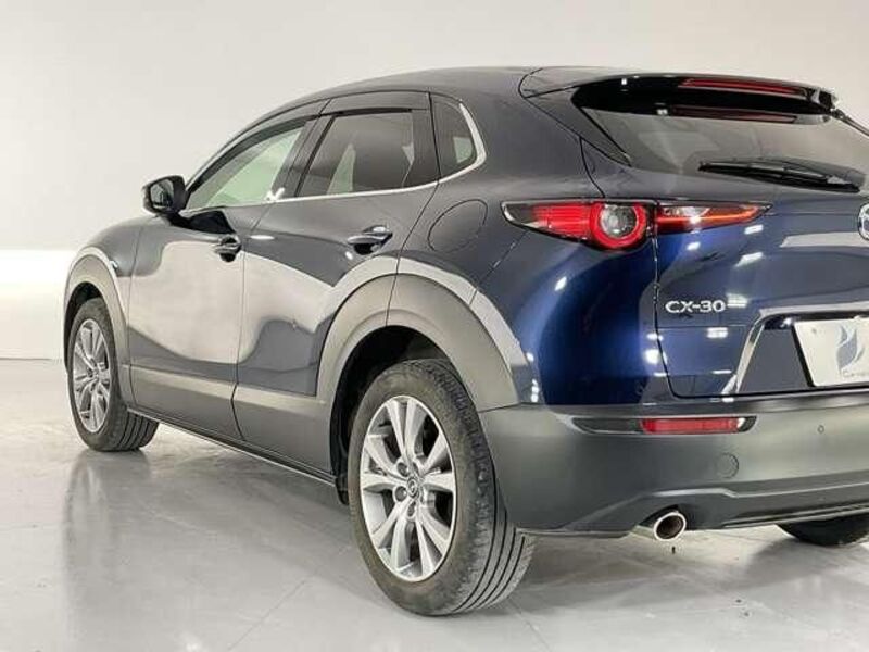 CX-30