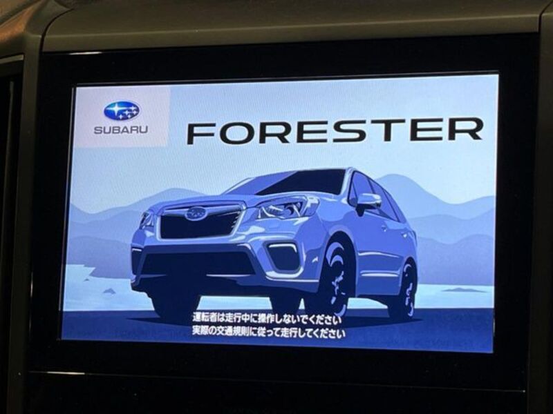 FORESTER