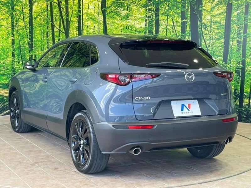 CX-30