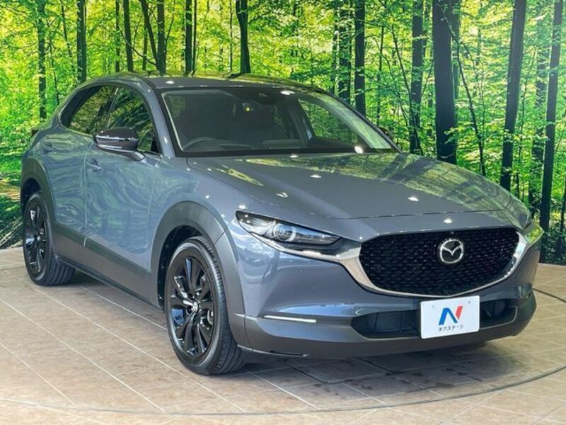 CX-30