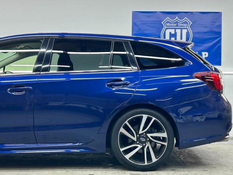 LEVORG