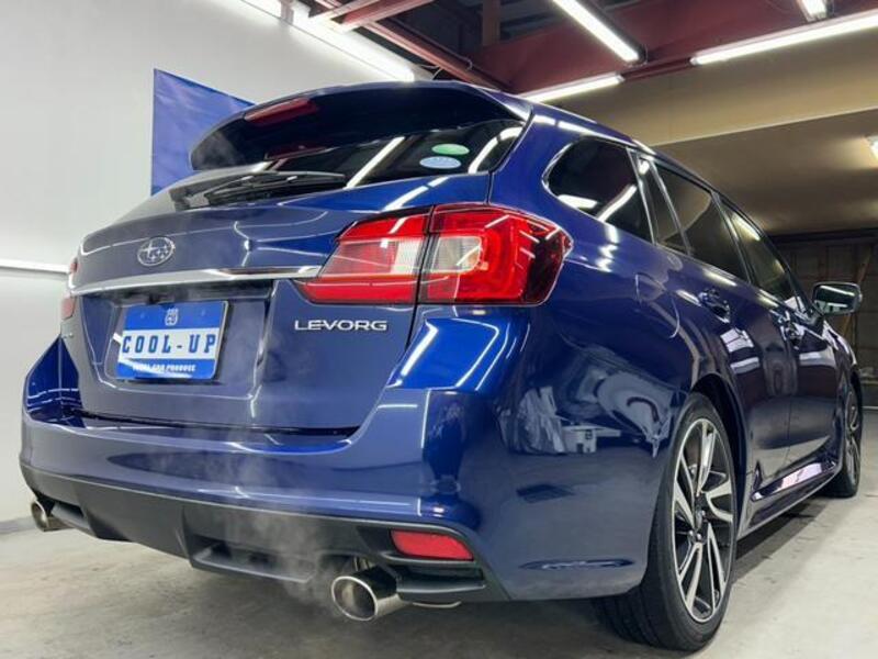 LEVORG