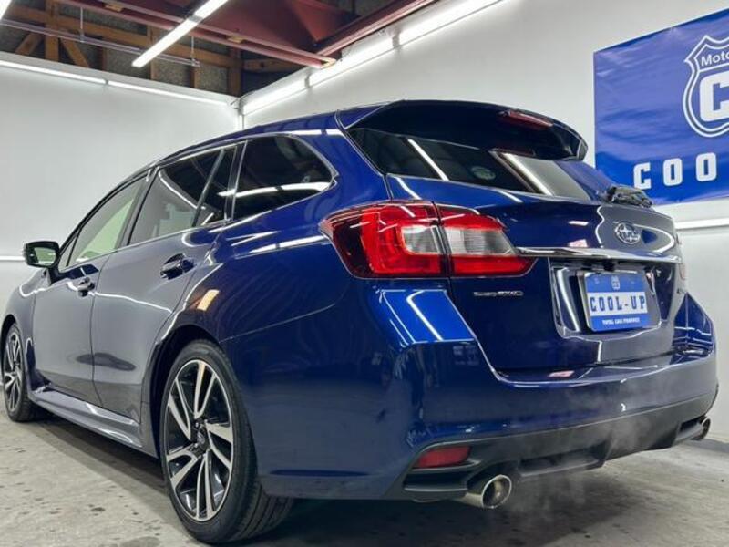 LEVORG