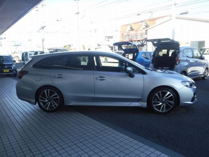 LEVORG