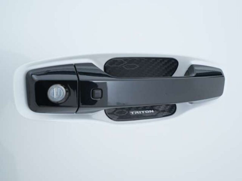TRITON