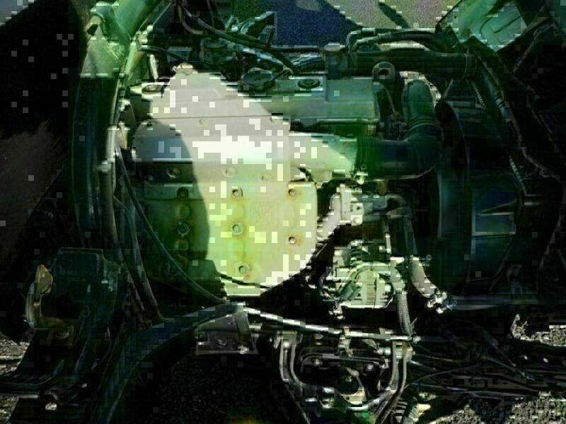 CANTER GUTS