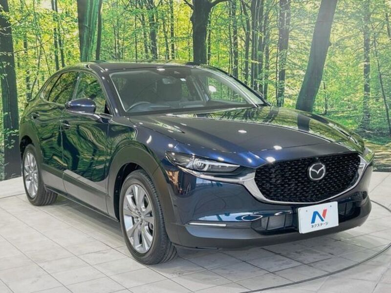 CX-30