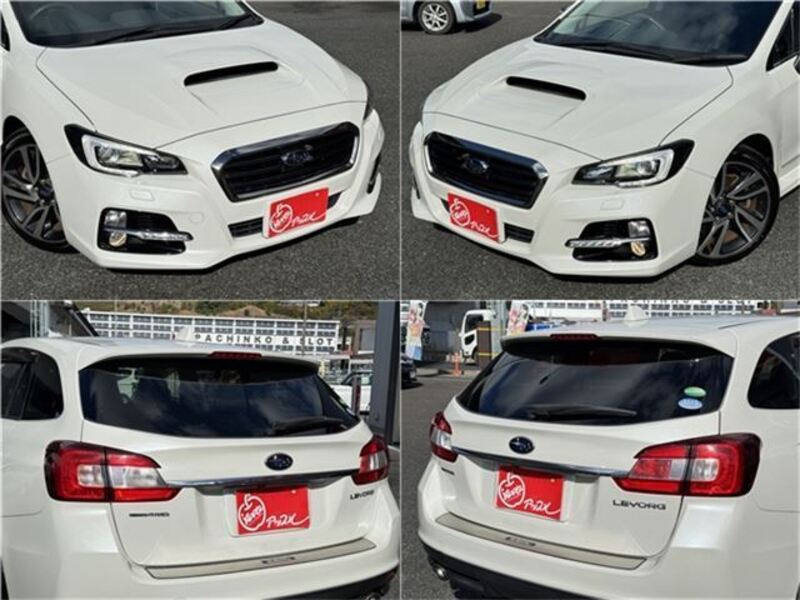 LEVORG