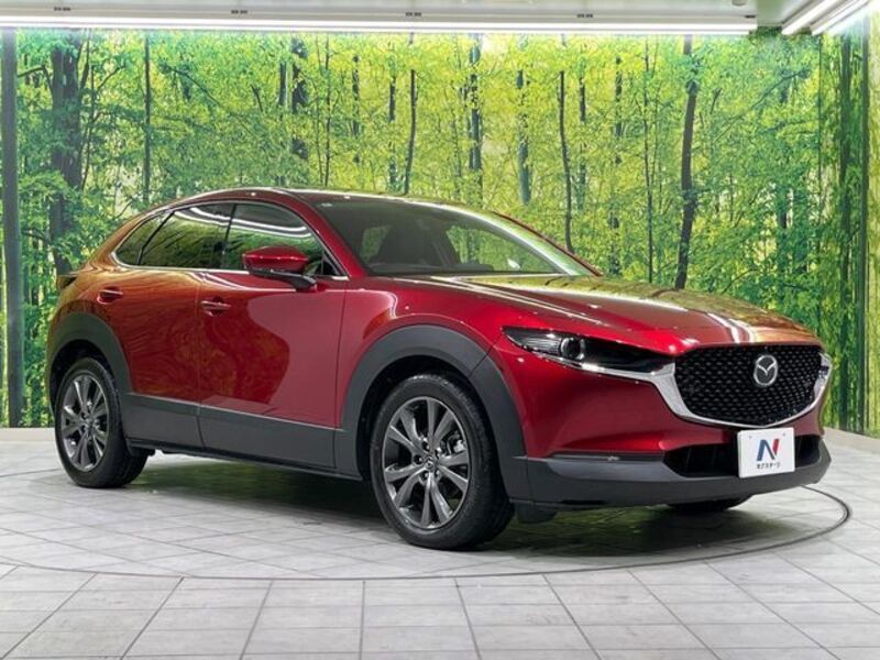 CX-30