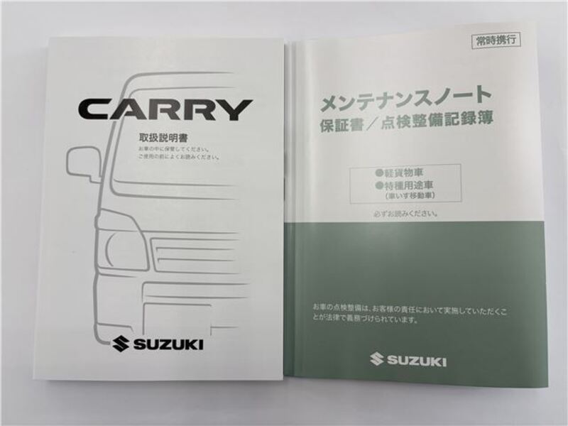CARRY TRUCK