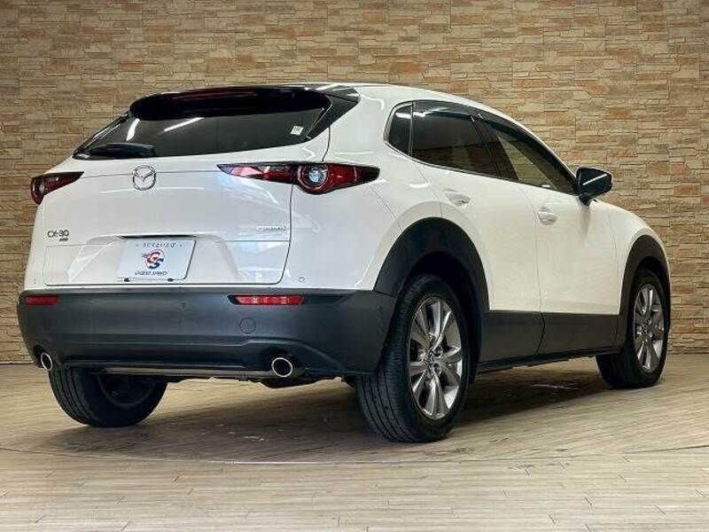 CX-30