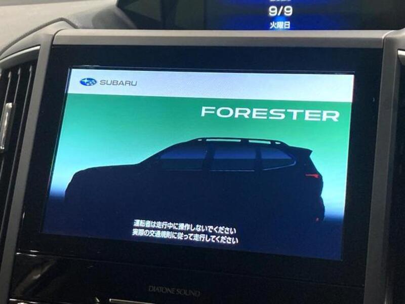 FORESTER