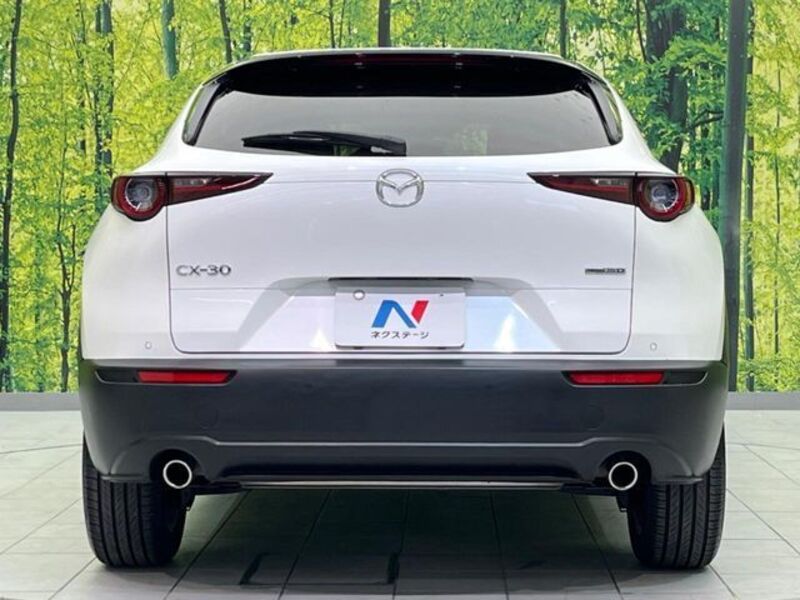 CX-30