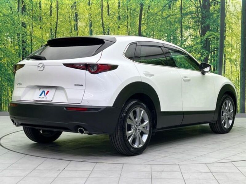 CX-30