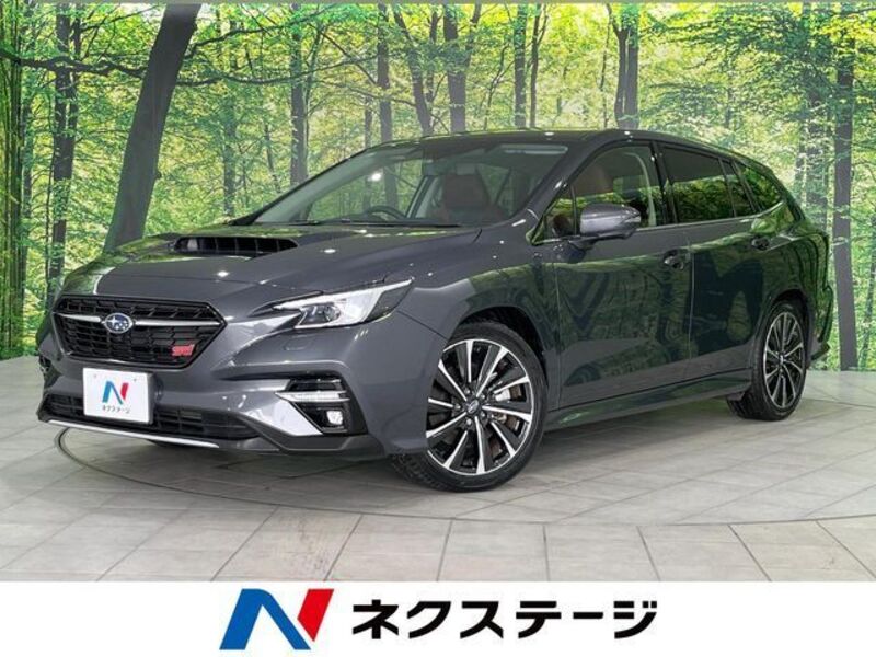 LEVORG-0