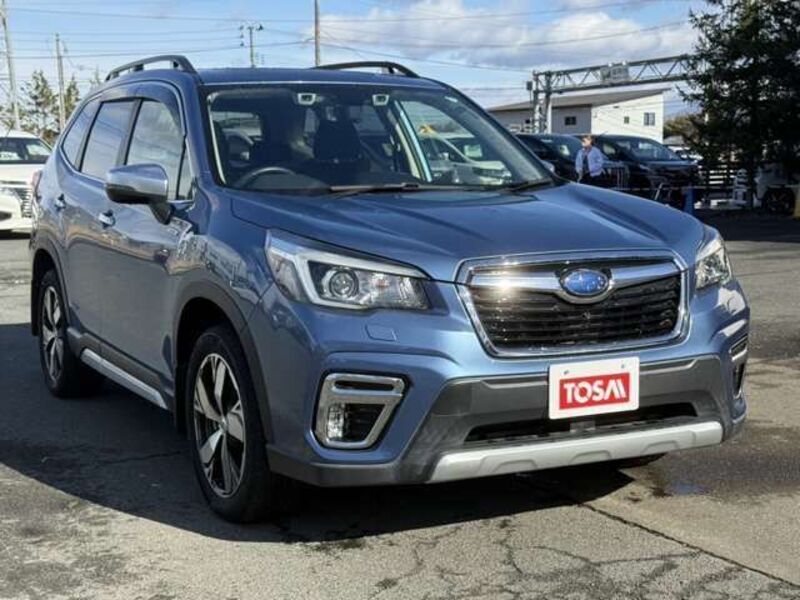 FORESTER